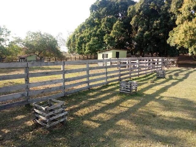 Fazenda há 10 km na MT 010 Estrada da Guia - Foto 16