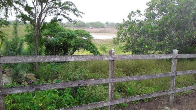 Fazenda para venda em feira nova, feira nova - Foto 17
