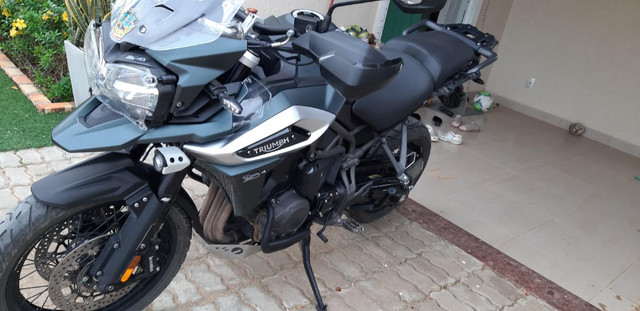 olx triumph tiger