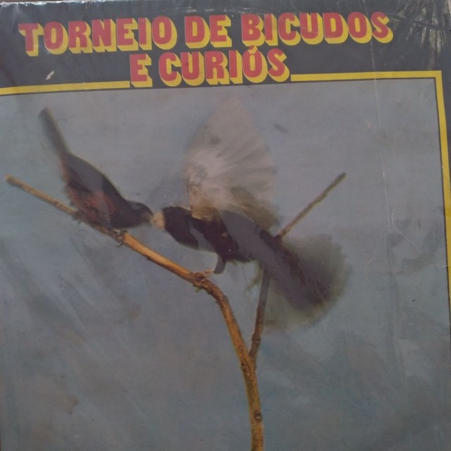 Disco de Vinil Torneio de bicudos e curiós - Foto 3
