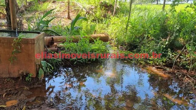 Sítio 2,9 alqueires - Casas, rio, represa, curral - Foto 5