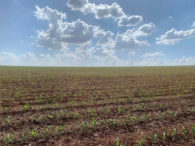 Vend - Fazenda 92 alqueiro  - Foto 2