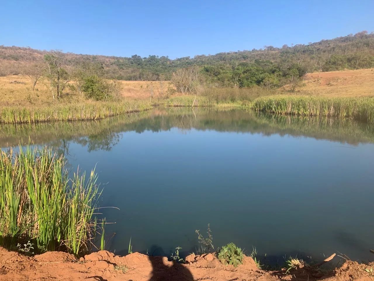 Fazenda em campina verde  - Foto 2