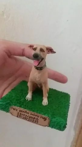 Pets ? em miniatura  - Foto 4