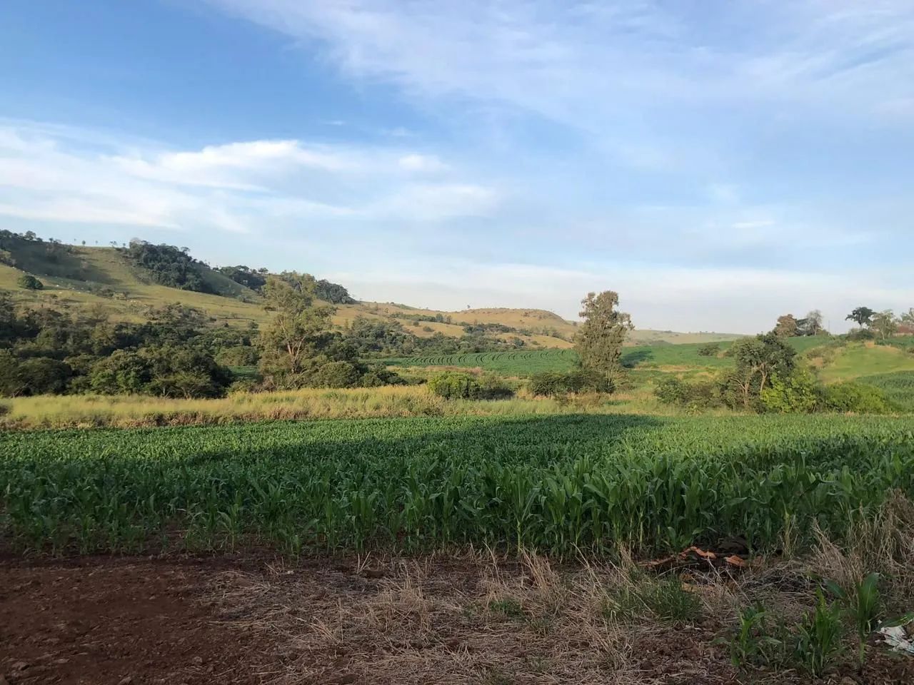 Sítio 31 alqueiro aceita uma parte em imóvel dando renda - Foto 2