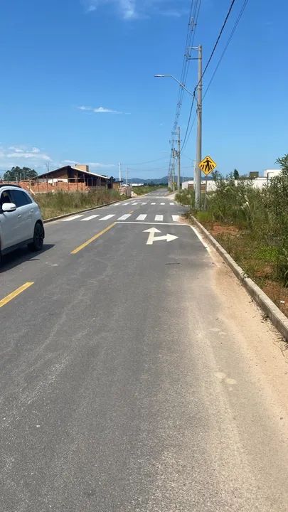 foto - Tubarão - Santo Antônio de Pádua