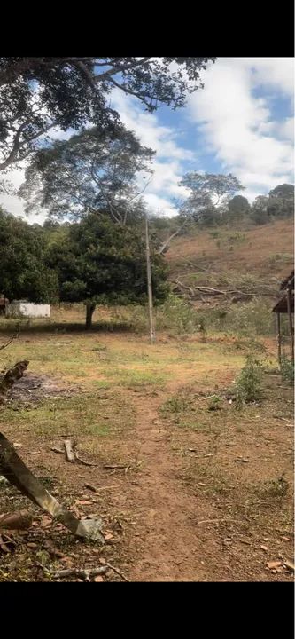 Fazenda 10 alqueires na Lajinha a 17km de Teófilo Otoni MG - Foto 3