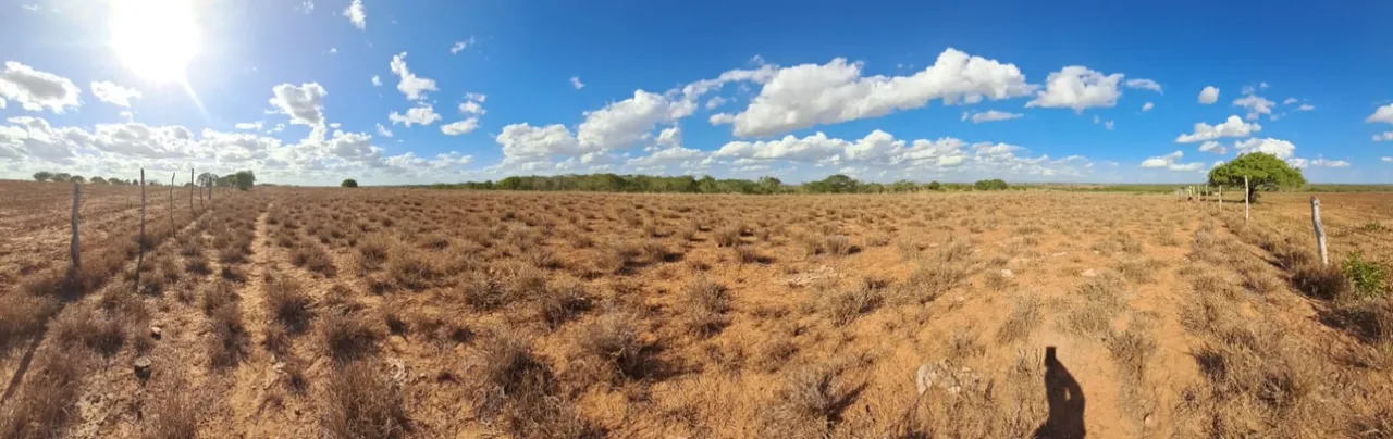 Terreno em N. Sra da Glória