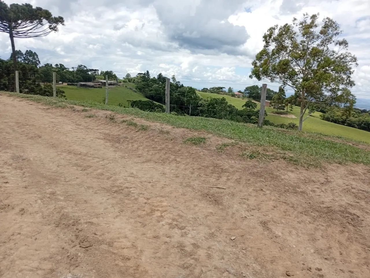 Fazenda 113.8  alqueires  - Foto 4