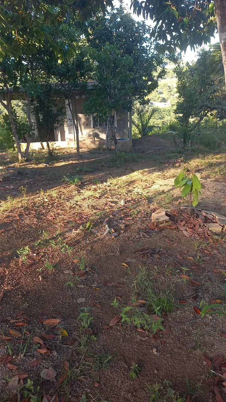 Terreno com casa na laje R$100.00