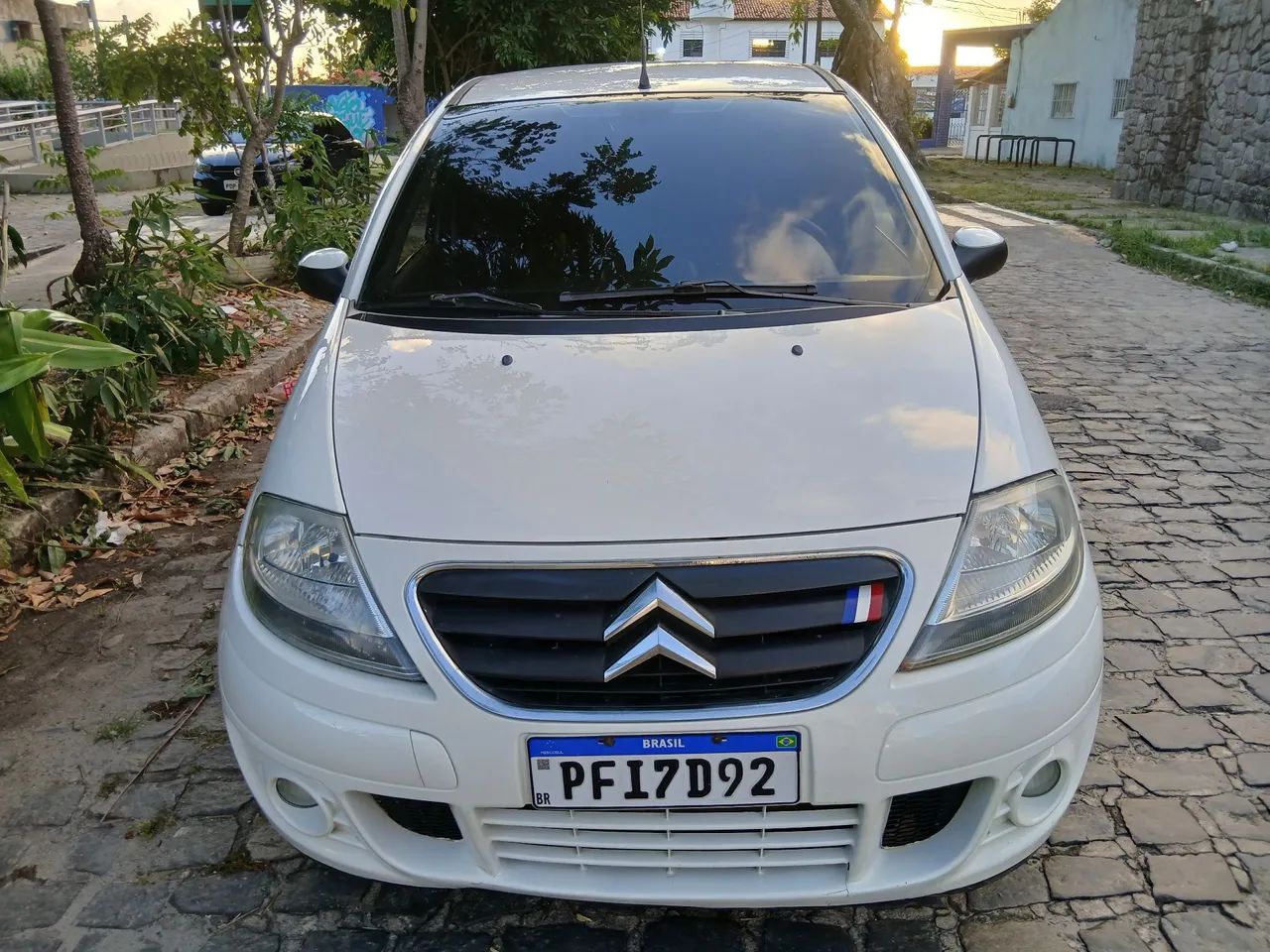 C3 2011 AUT  FLEX 
