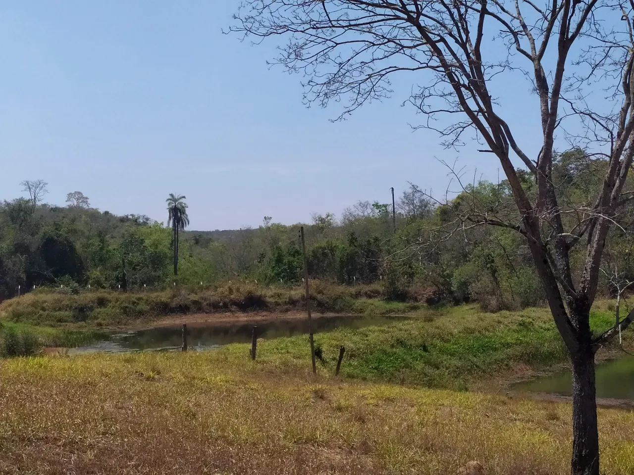 Lote Alto padrão 1000 metros quadrados em Jequitibá - MG