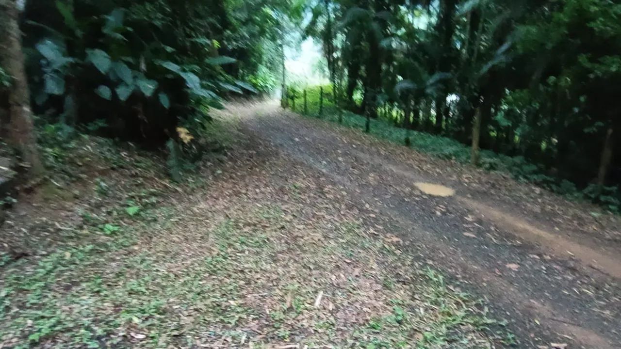 Foto - Joinville - América