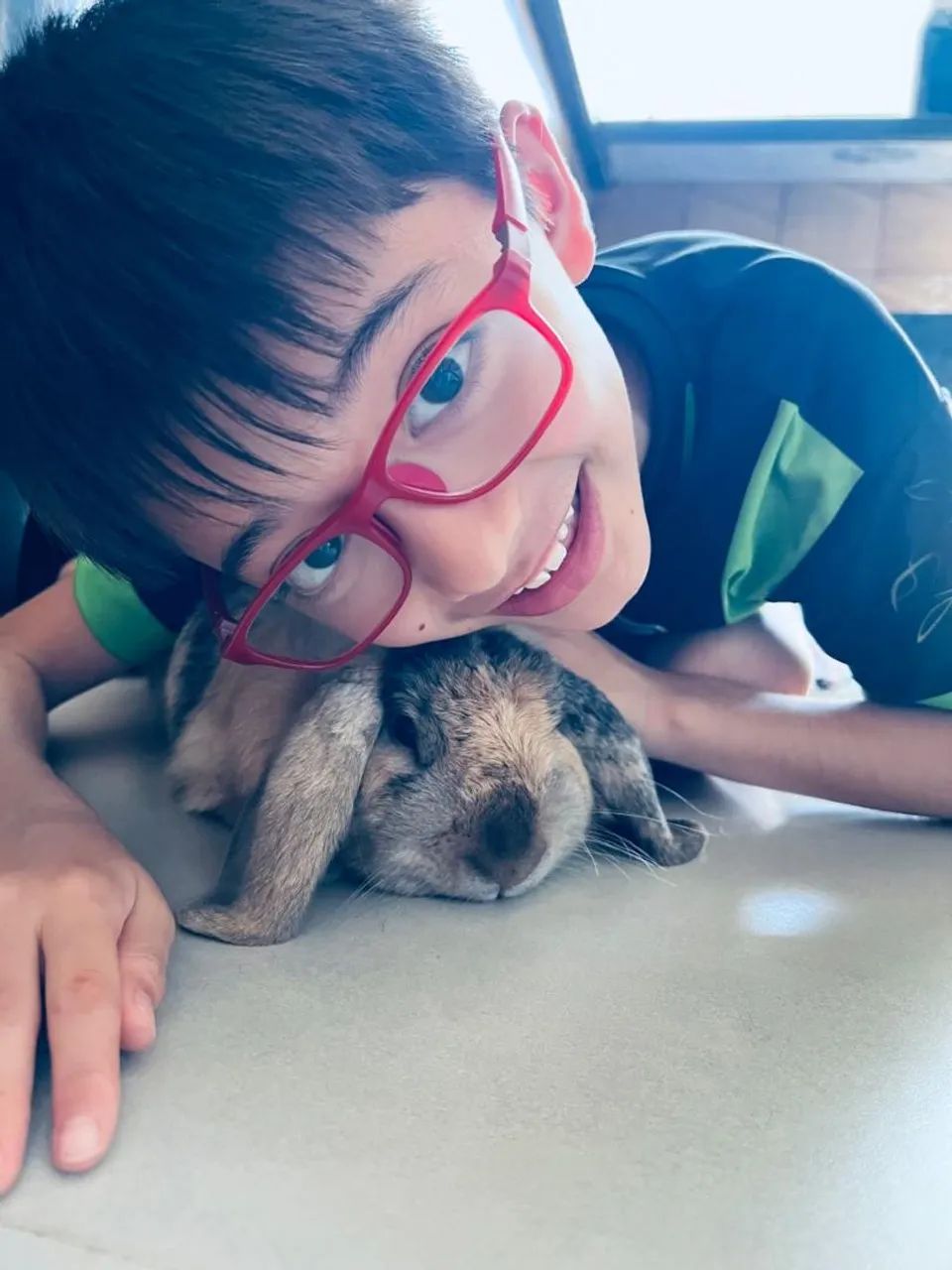 Já pensou em ter um coelho PET? Temos Mini, Anões e GIGANTES - Foto 5
