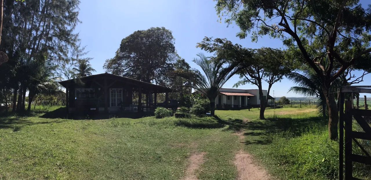 Granja em São José de Mipibu. 13ha - Foto 4