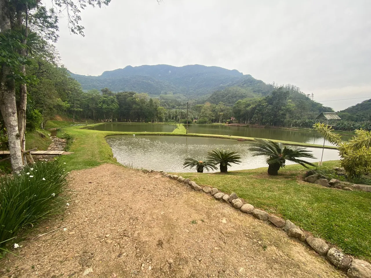 Sitio pronto um paraíso de sitio 88 mil m2