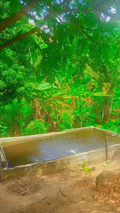Sitio 3 casas simples ,2 piscina natural ,3 tanques, troco ,Nanuque MG-aceito máquinas