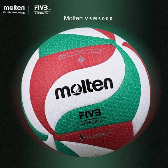 Bola de Vôlei Molten V5M5000 - FIVB