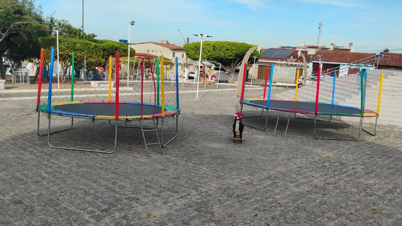 Aluguel de pula pula infantil ! 