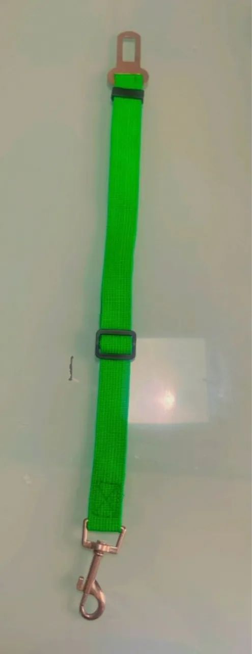 Guia para Cães - Segurança no Carro - Foto 3