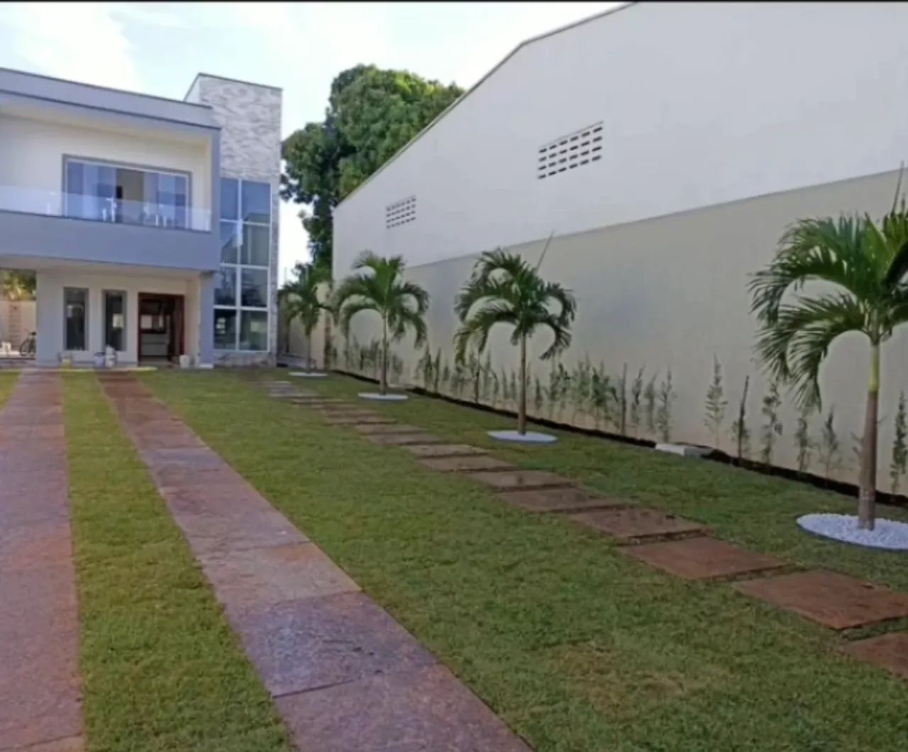 Grama Esmeralda PROMOÇÃO  - Foto 4