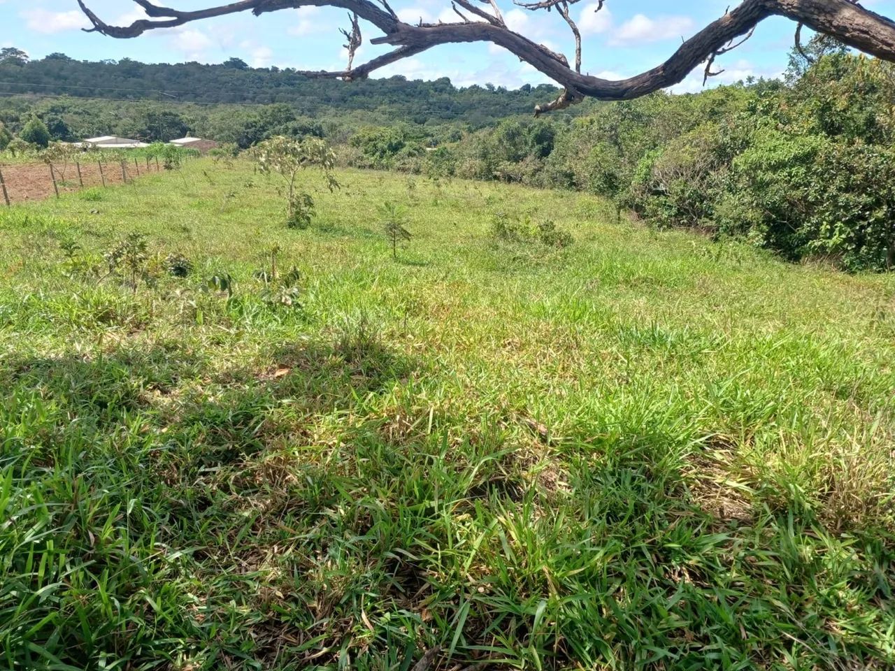 Chácara em gameleira de goias 10.000 metros - Foto 10