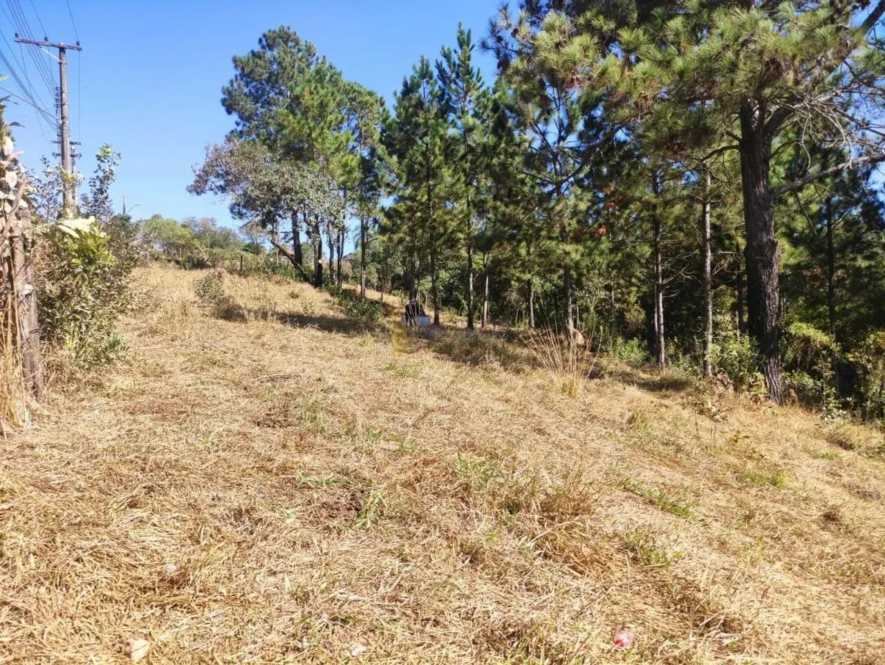 TERRENO PARA CHÁCARA ESTANCIA SÃO PAULO CAMPO LIMPO PAULISTA