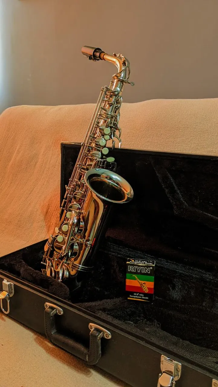 Saxofone Alto Eagle SA 500 Niquelado - Novo