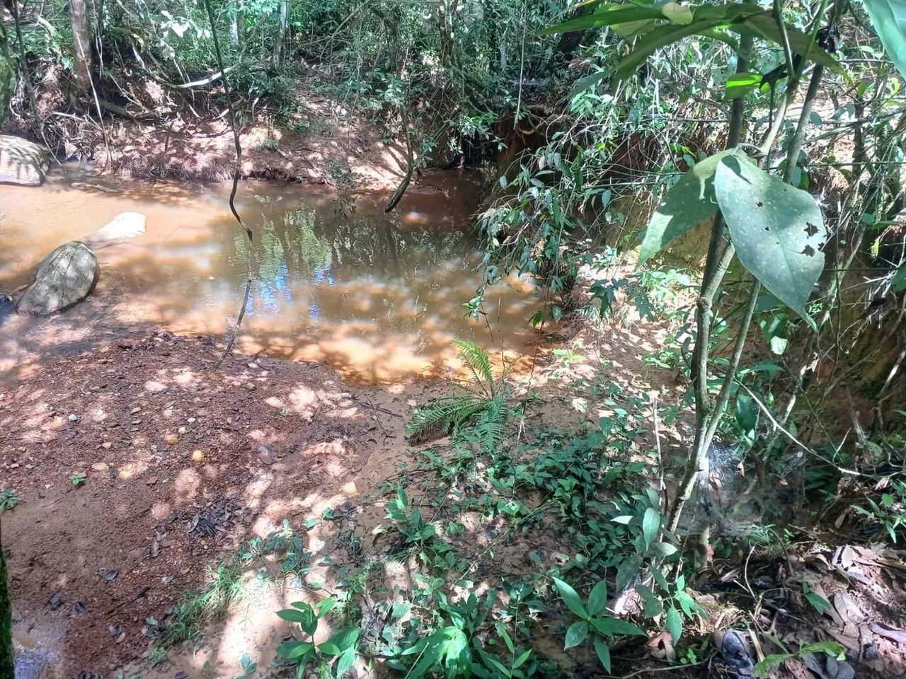 Chácara em gameleira de goias 10.000 metros - Foto 9