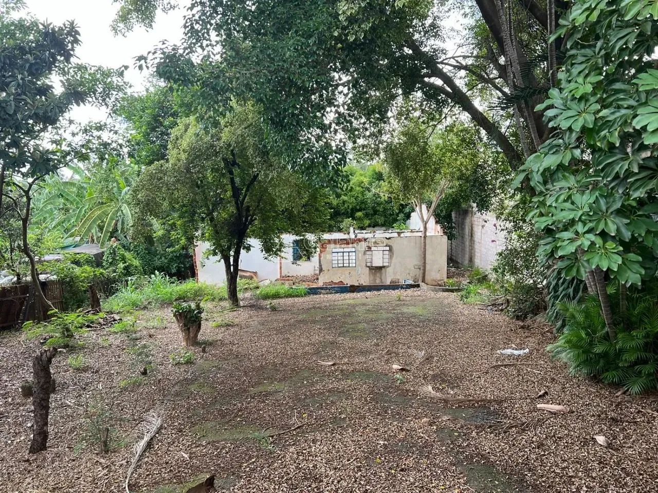 terreno - Chácara Boa Vista - Campinas - Foto 13