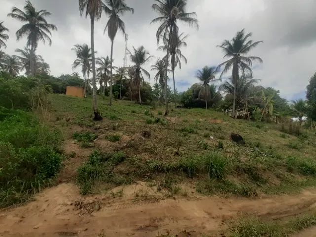  Terreno com vista panorâmica em Bitingui - Japaratinga/AL - Foto 2