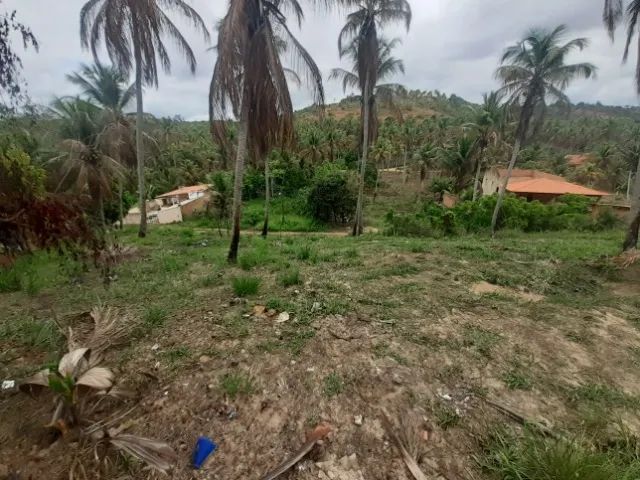  Terreno com vista panorâmica em Bitingui - Japaratinga/AL - Foto 4
