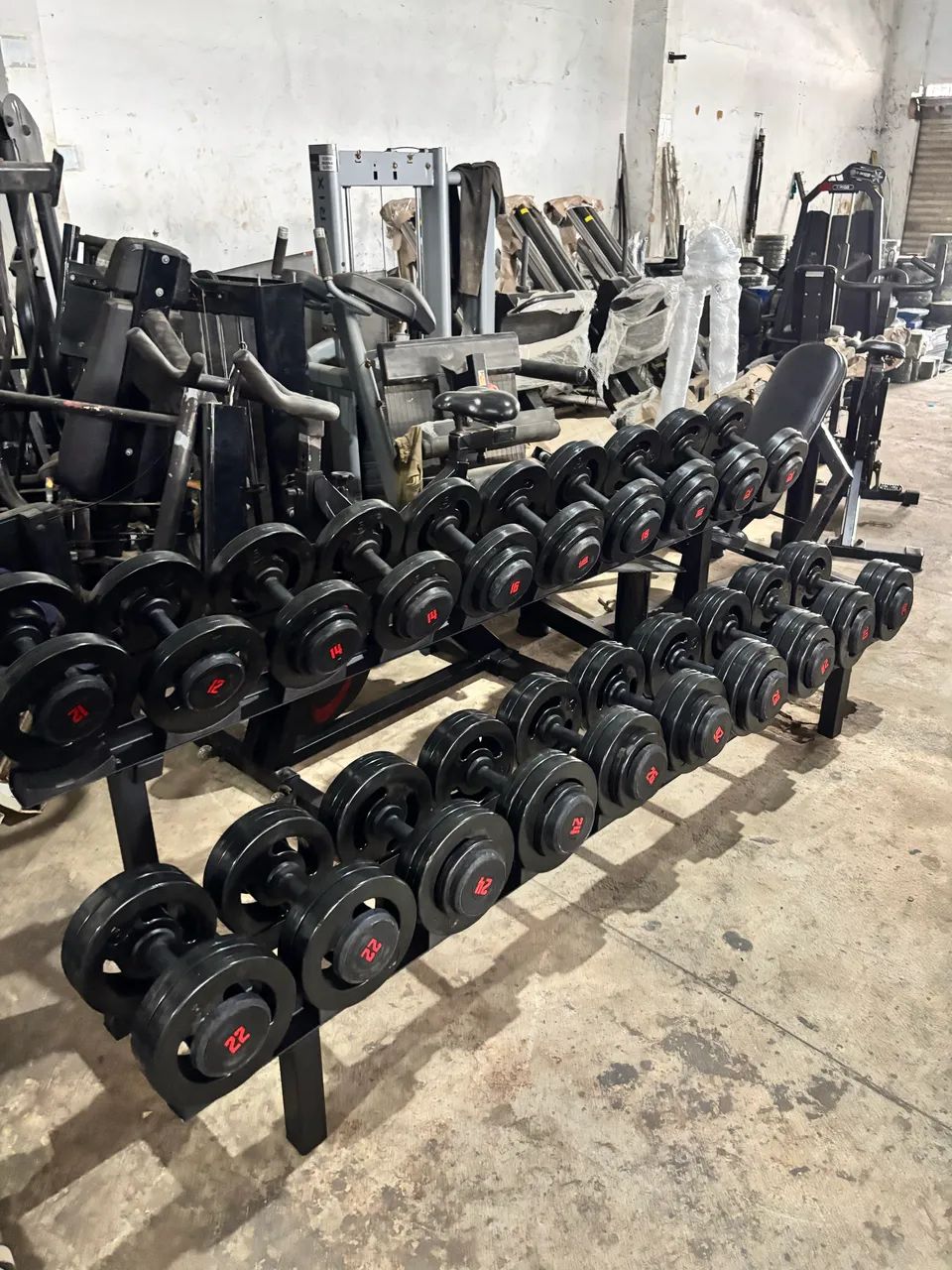 Muscle Training Gym