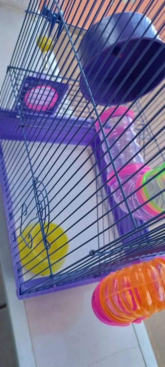 Gaiola hamster  - Foto 3