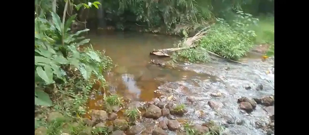 Vendo imóvel zona rural Tocantins, chácara sitio - Foto 5