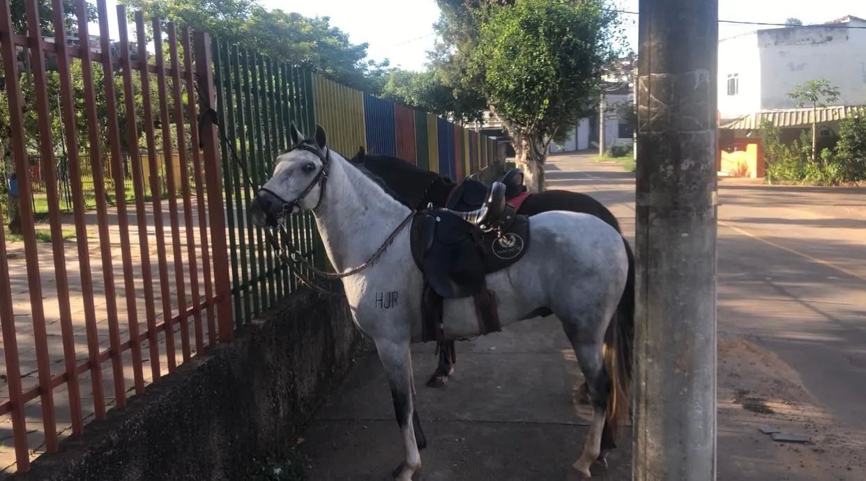 Castrado de pista ! - Foto 4