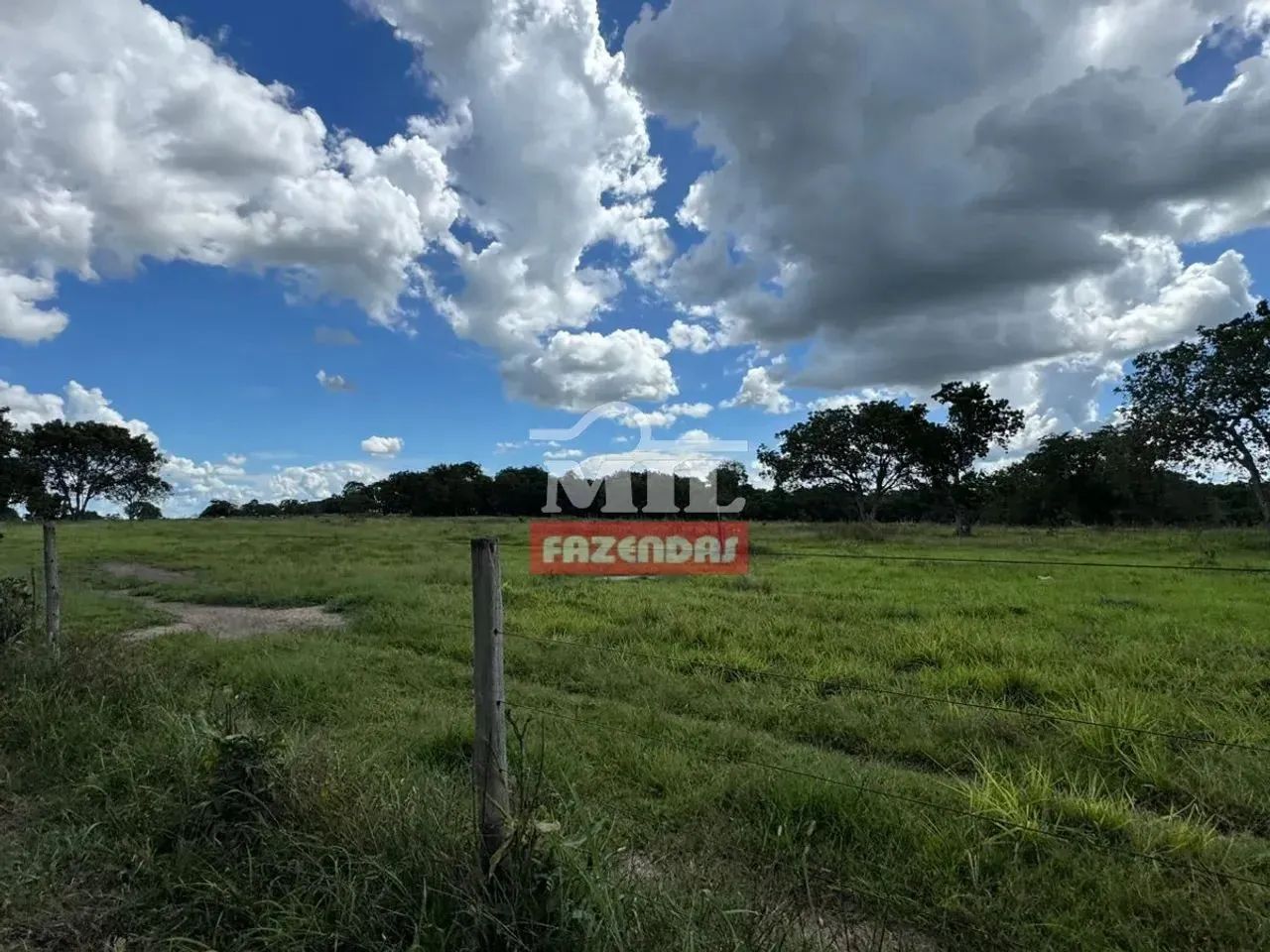 Fazenda 150 Alqueires (726 hectares) Crixás - GO - Foto 2