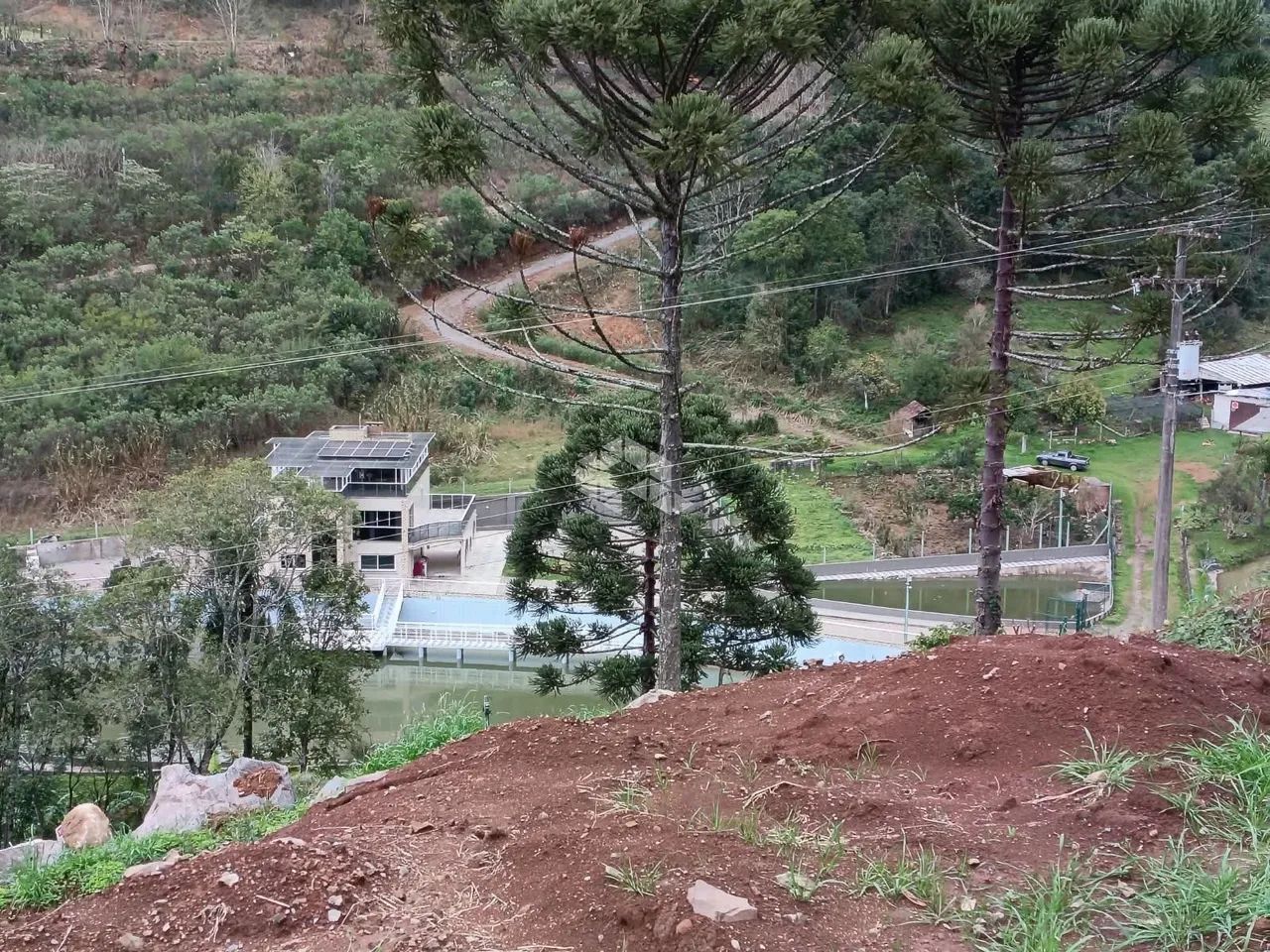 2ha em Pinto Bandeira - Foto 3