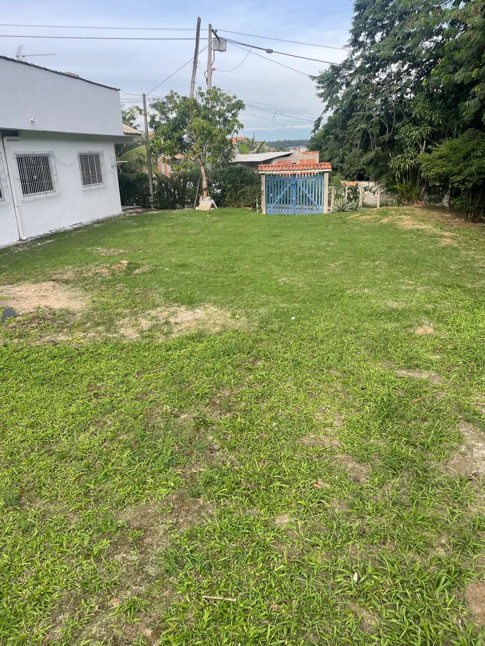 Limpeza de Terrenos e Jardins - Roçagem, Capina e Manutenção - Foto 3