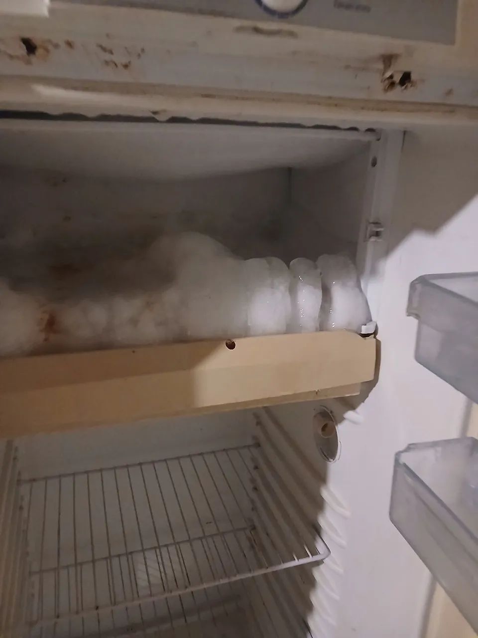 Continental  - Foto 4