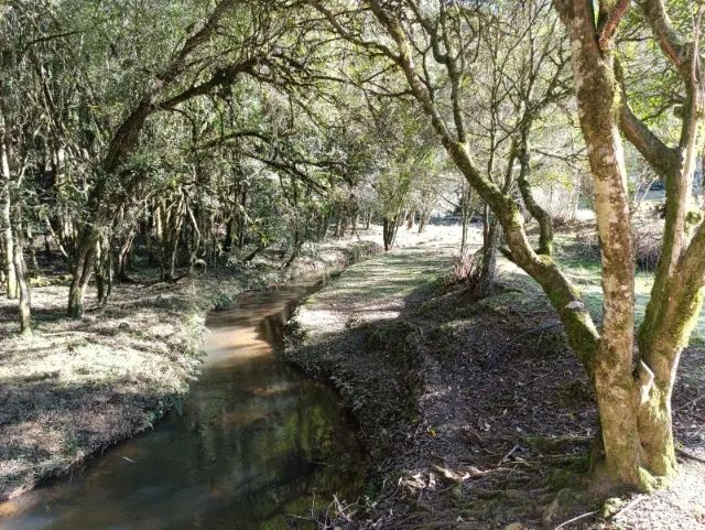 Chácara com 42.000,00m² - Foto 4