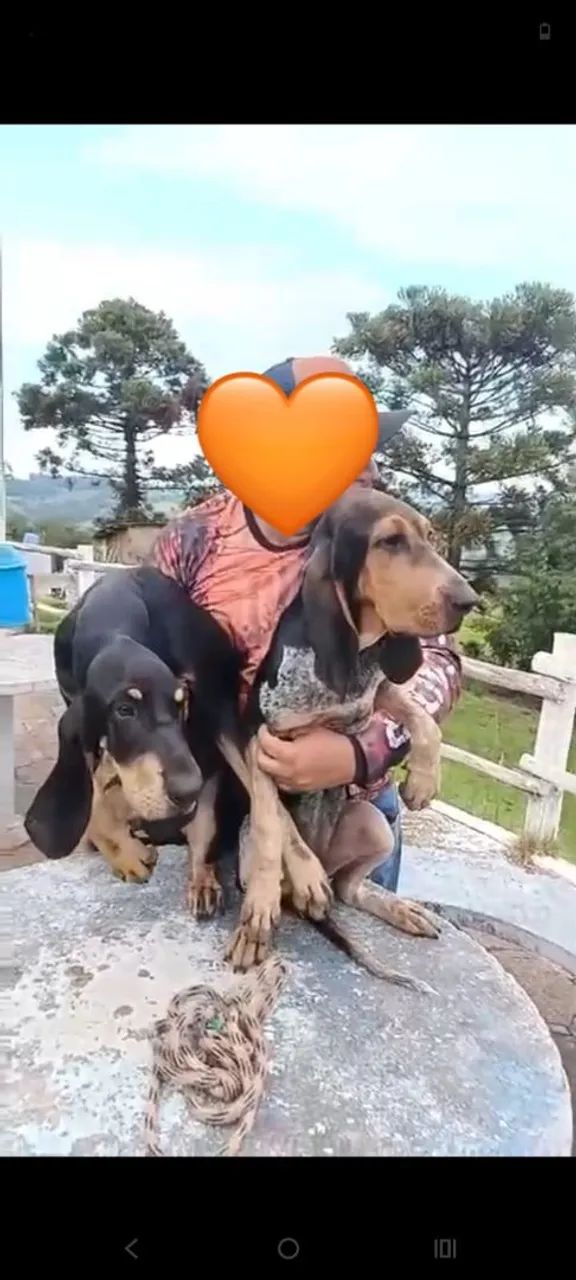 Quer qualidade e função  CASAL TOP