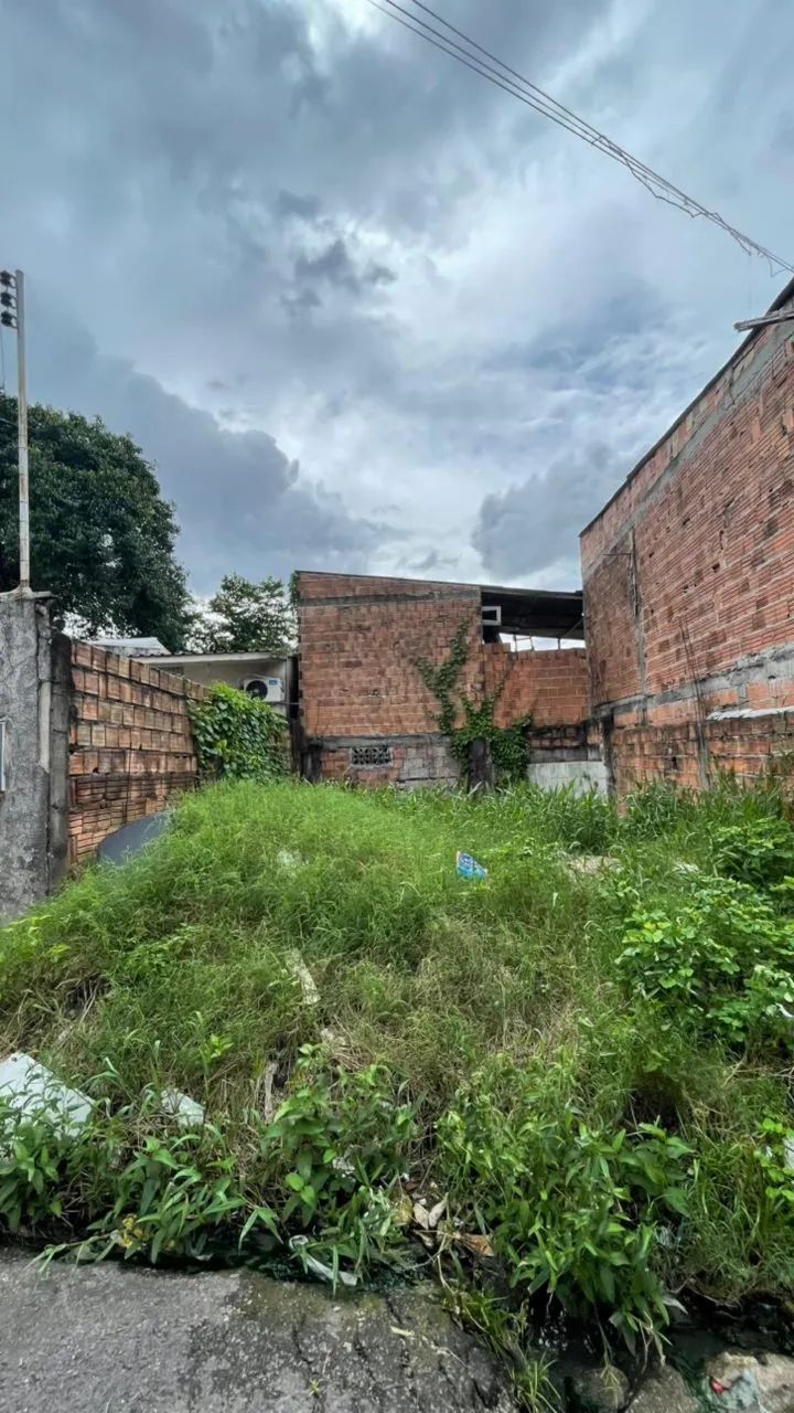 Terreno ,  Colonia terra nova  - Foto 3