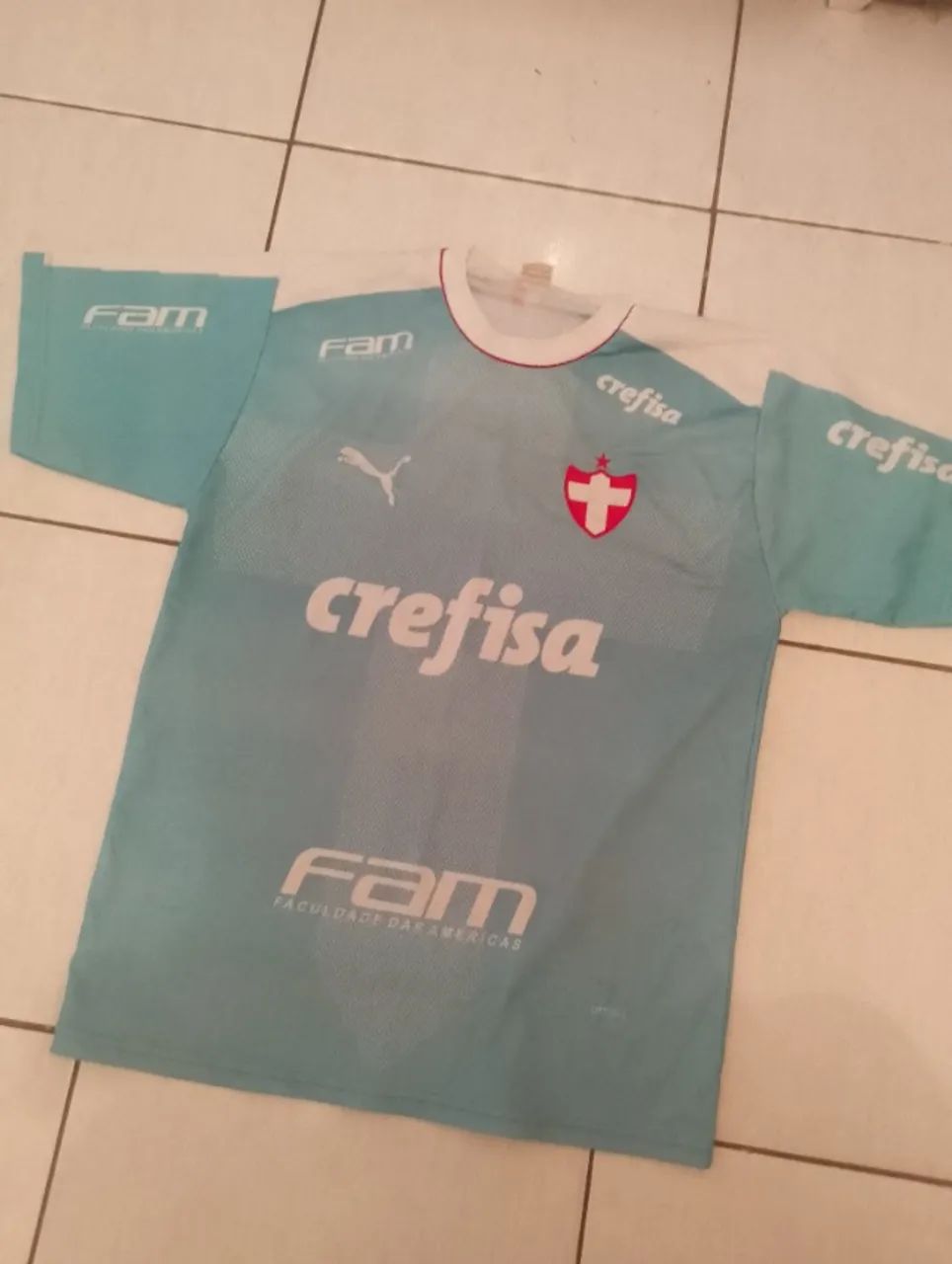 Camiseta palmeiras 