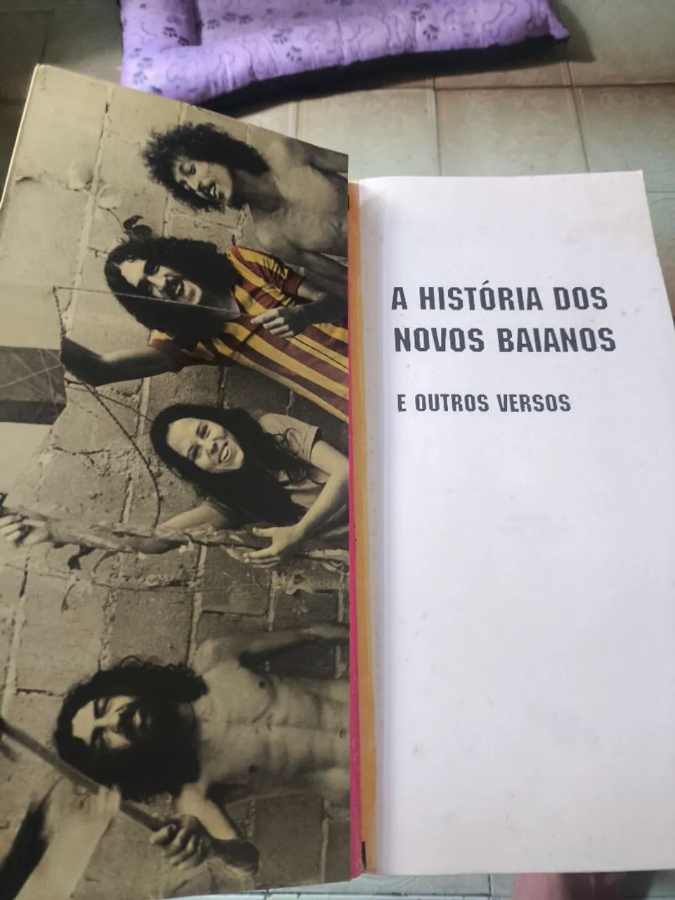 Livro A história dos novos baianos e outros versos Moraes Moreira