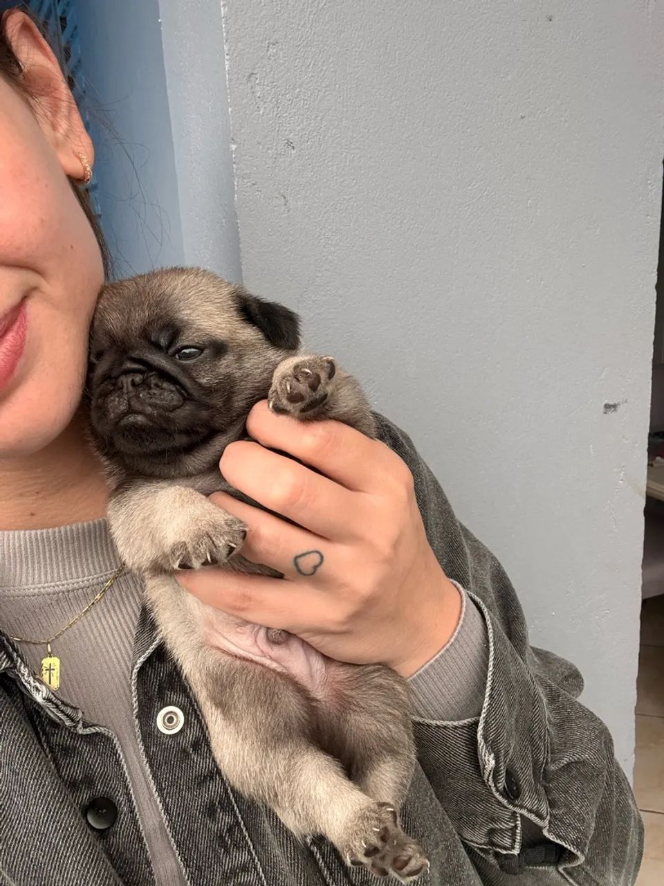 Pug machinho  - Foto 2