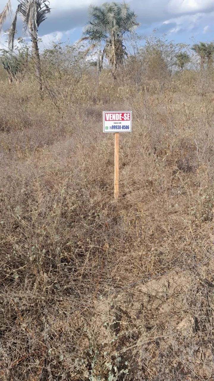Vendo este terreno  - Foto 2