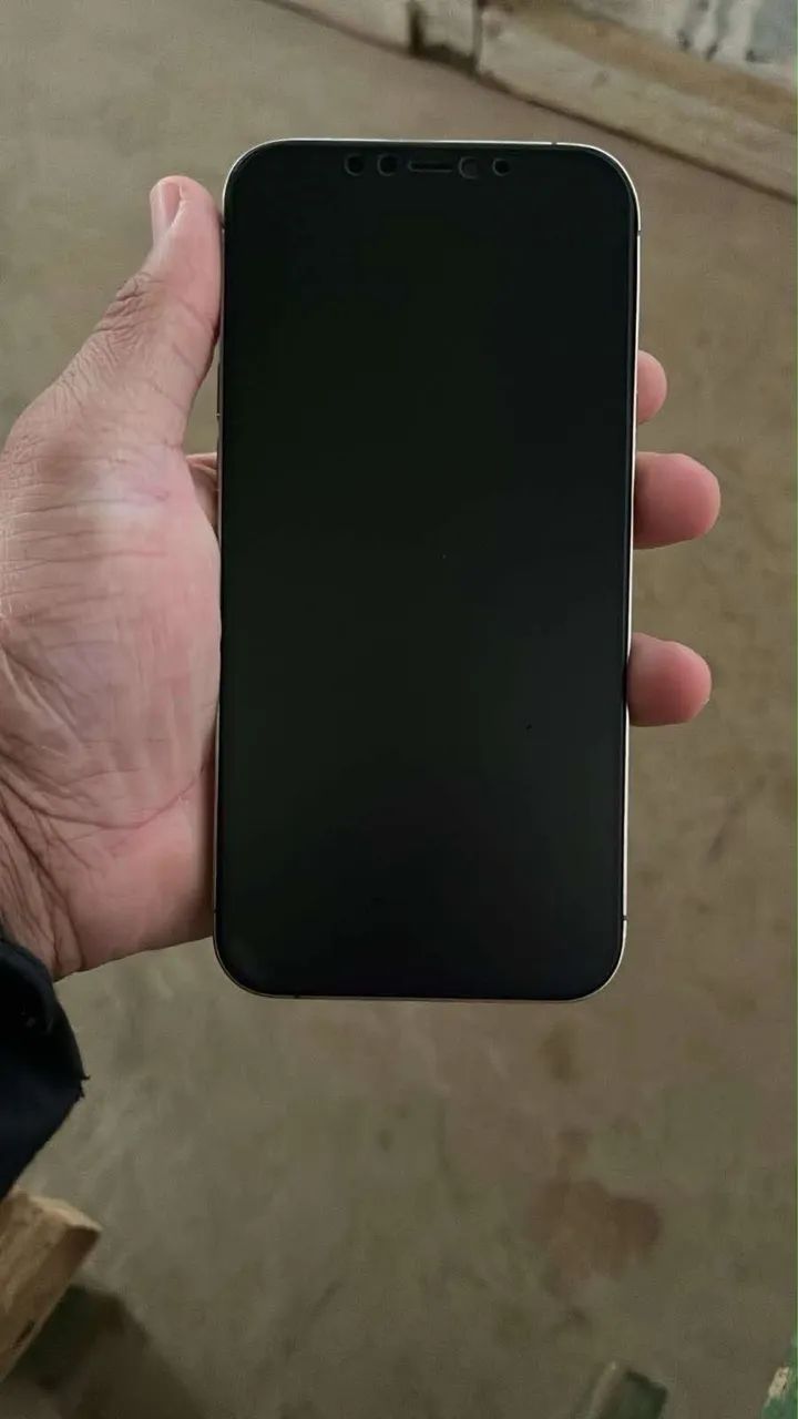 iPhone 12 Pro Max 