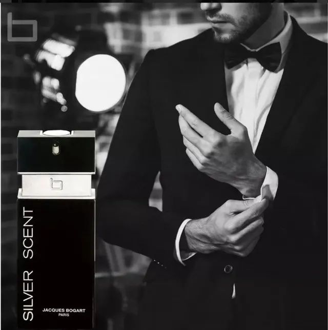 Perfume Silver Scent 1293