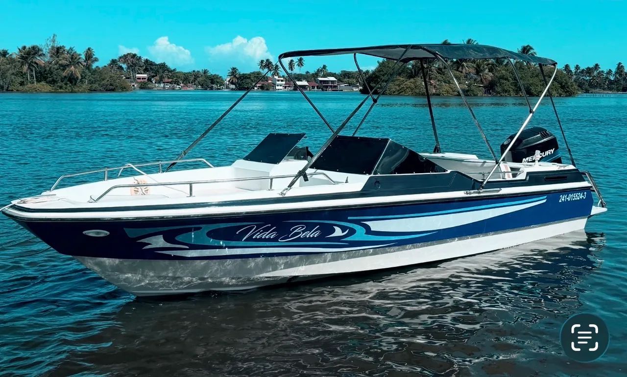 Lancha cobra 19 pés 